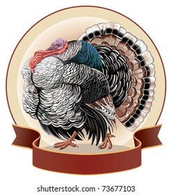 Graphical  turkey-cock. Vector illustration.