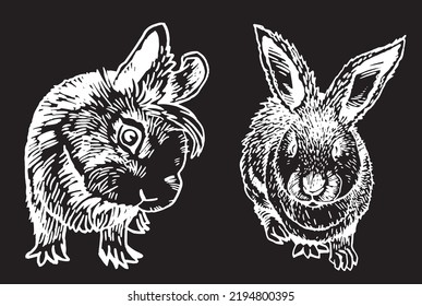 Graphical two bunnies  isolated on black,vector illustration. Hand-drawn rabbit