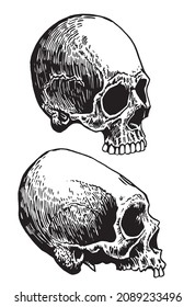 Graphical two skulls of Aztec civilazation isolated on white, long skull of ancient tribe, vector illustration