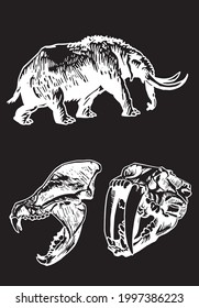 Graphical two skulls saber  toothed tiger   mammoth isolated black ice period animals vector elements	