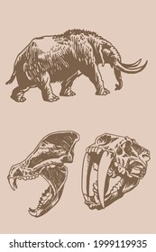 Graphical two skulls saber  toothed tiger   mammoth  ice period animals vector elements sepia background	