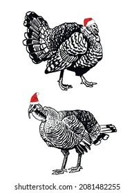 Graphical two turkeys in Santa Claus hat isolated on white background, new year elements 