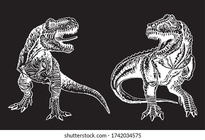 Graphical two tyrannosauruses  isolated on black background, vector engraved  illustration