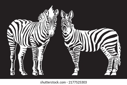 Graphical two  zebras standing and watching into the distance isolated on black, vector illustration for printing and design
