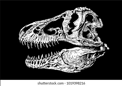 Graphical tyrannosaur's skull isolated on  black background,vector illustration
