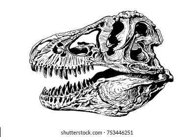 Graphical tyrannosaur's skull isolated on  white background,vector illustration