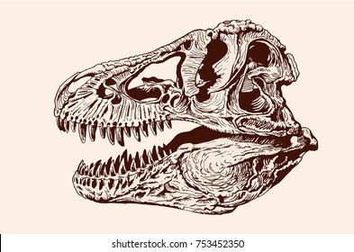 T rex skeleton outline: изображения, стоковые фотографии и векторная график...