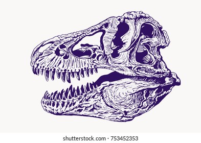 Graphical tyrannosaur's skull isolated ,vector illustration