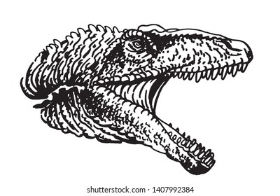 Graphical tyrannosaurus portrait isolated on white ,vector illustration