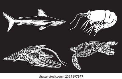 Graphical underwater set, shark,shrimp,lobster and turtle isolated on black background.Vector engraved illustration