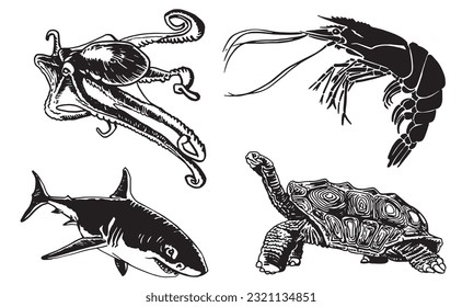 Graphical underwater set, shark,shrimp,octopus and turtle isolated on white background.Vector illustration