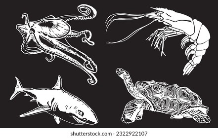 Graphical underwater set, shark,shrimp,octopus and turtle isolated on black background.Vector engraved  illustration