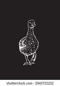 Graphical vector goose on black background,vector engraved illustration
