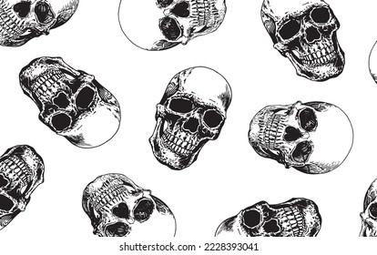 Graphical vector pattern with human skulls on white background, wallpaper , fossils cover