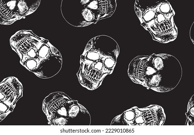 Graphical vector pattern with human skulls on black background, wallpaper , fossils cover