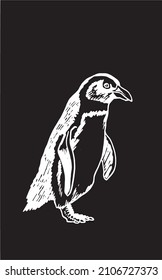 Graphical vector penguin on black isolated , bird of Antarctica and the south coast of Africa