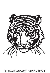 Graphical vector portrait of tiger isolated on white , stripy skin design