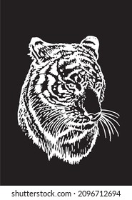 Graphical vector portrait of tiger isolated on black , stripy skin design