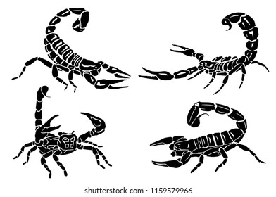 Graphical vector set of scorpions isolated on white, tattoo illustration