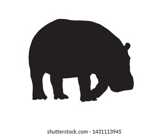 Graphical vector silhouette of hippo isolated on white,illustration