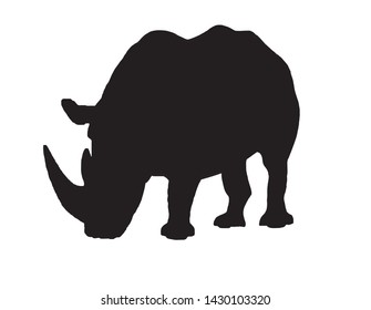 Graphical vector silhouette of rhino isolated on white,illustration