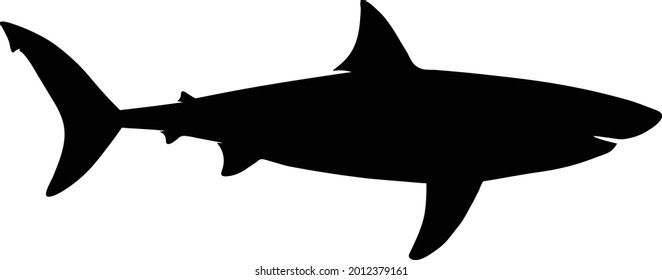 Graphical vector silhouette of shark.
