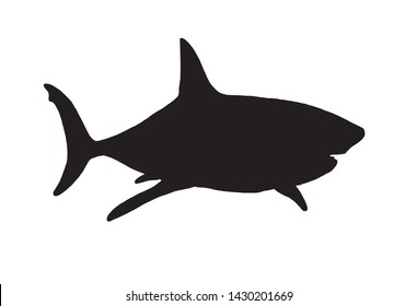 Graphical vector silhouette of shark isolated on white,illustration