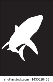 Graphical vector silhouette of shark isolated on black,illustration