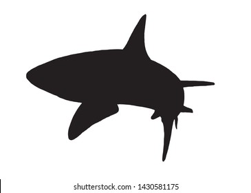 Graphical vector silhouette of shark isolated on white,illustration,icon