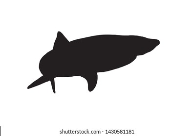 Graphical vector silhouette of shark isolated on white,illustration,icon