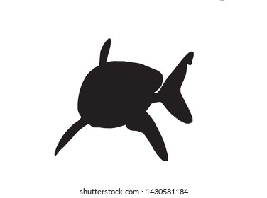 Graphical vector silhouette of shark isolated on white,illustration,icon