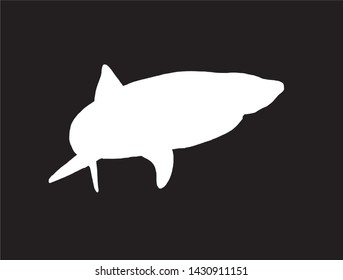 Graphical vector silhouette of shark isolated on black,illustration