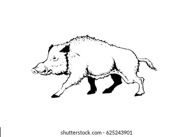 腌猪肉 の画像 写真素材 ベクター画像 Shutterstock