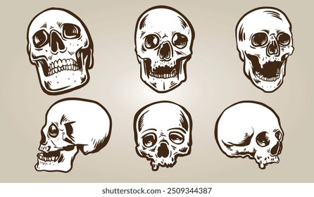 graphical vector skull head expression