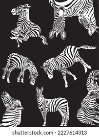 Graphical vertical pattern with  zebra on black background , stylish cover for for fabric, postcards, wallpapers, graphical vector illustration