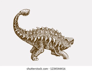 Graphical vintage ankylosaurus ,vector sketchy retro illustration
