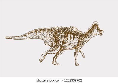 Graphical vintage auroraceratops , retro background,vector sketchy illustration for tattoo and printing