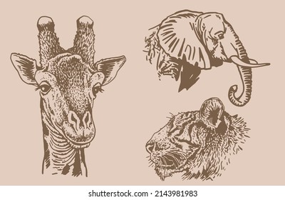 Graphical vintage collection of African animals , sepia background,vector zoo animals