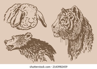 Graphical vintage collection of African animals , sepia background,vector zoo animals
