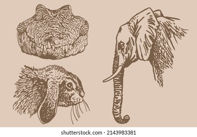 Graphical vintage collection of African animals , sepia background,vector zoo animals