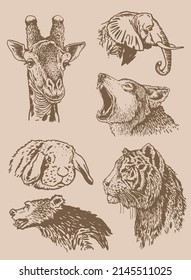 Graphical vintage collection of African animals , sepia background,vector zoo animals