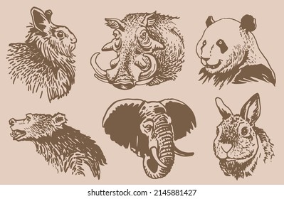 Graphical vintage collection of African animals , sepia background,vector zoo animals