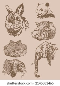Graphical vintage collection of African animals , sepia background,vector zoo animals