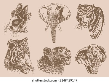 Graphical vintage collection of African animals , sepia background,vector zoo animals
