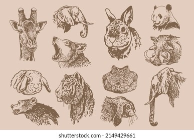 Graphical vintage collection of African animals , sepia background,vector zoo animals