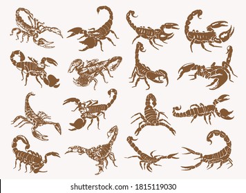 Graphical vintage collection of dinosaurs , sepia background,vector illustration