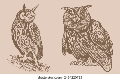 Graphical vintage collection of owls, vector night birds