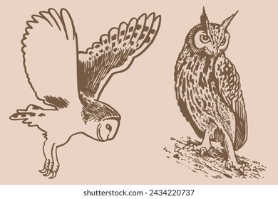 Graphical vintage collection of owls, vector night birds