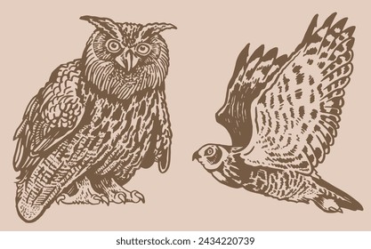 Graphical vintage collection of owls, vector night birds