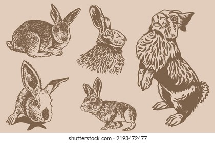 Graphical vintage collection of rabbits ,vector  vintage illustration. Fluffy bunnies for printing designs,textiles